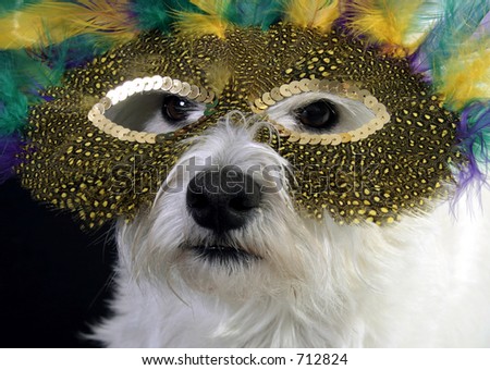 White West Highland Terrier in a mardi gras mask
