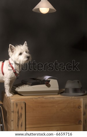 White West Highland Terrier sitting at a typewriter on a wooden crate with a lamp hanging overhead