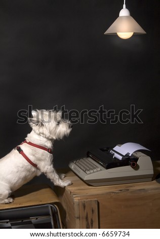 White West Highland Terrier sitting on a chair at a wooden crate with a typewriter on it and a hanging lamp overhead