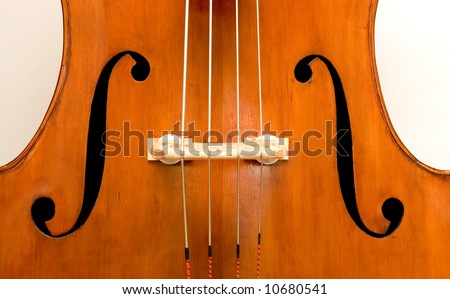 A close up of an orchestral Italian double bass and its f-holes.