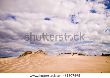 Sand moving dunes on the Polish coast.
