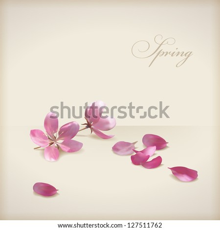 Floral Vector Cherry Blossom Flowers Spring Design. Pink Flowers, Freshly Fallen Petals And Text 'Spring' On A Beige Background In Modern Style. Can Be Used As Wedding, Greeting Or Invitation Card