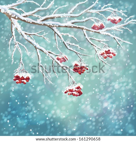Snowy Christmas Tree Branch