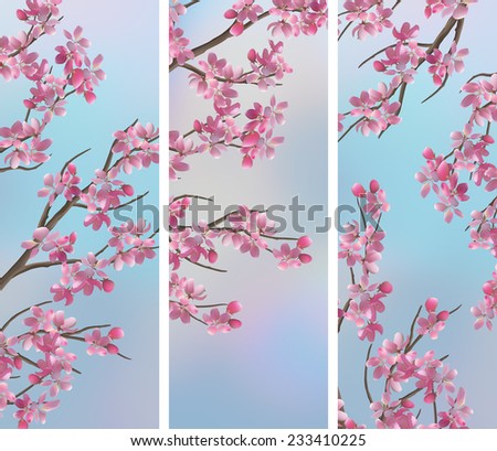 Spring vertical banners with Japanese cherry - Sakura blossoms