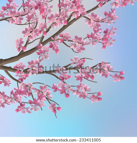 Spring vertical banners with Japanese cherry - Sakura blossoms