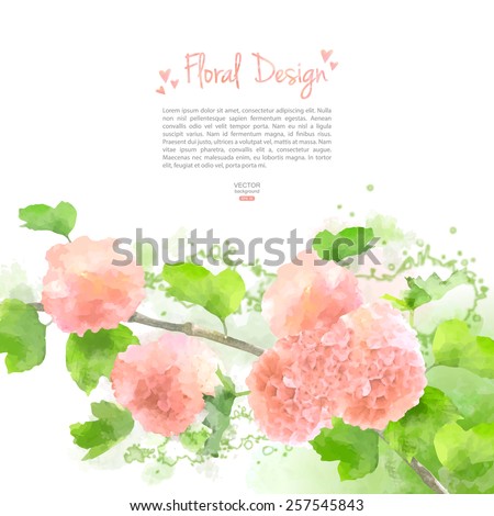 Pink Vector Watercolor Flowers Hydrangea on white background. Contemporary floral greeting card