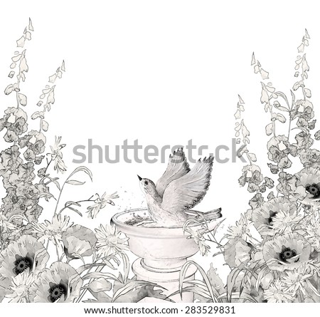 Floral background. Pencil or ink sketch drawing flowers, bird in bath