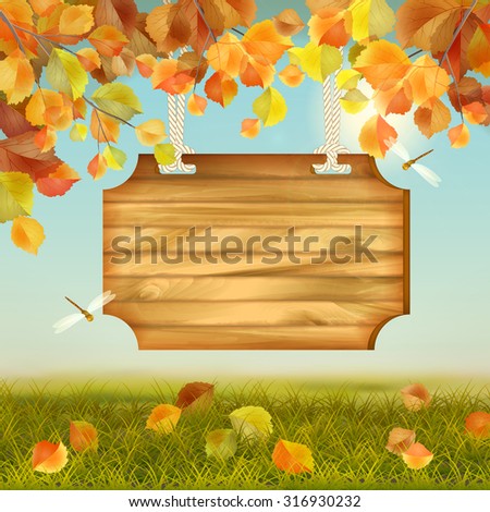Vector autumn landscape with wooden board, grass, fallen leaves, tree branches, dragonfly