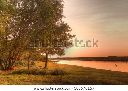 Sunset landscape over lake with swan and golden glow