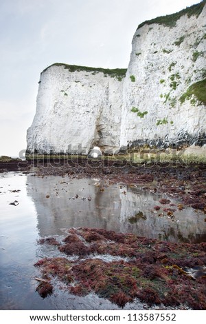 Old Harry Rocks on Jurassic Coast in Dorset England, UNESCO World Heritage location looking up from low tide base of cliffs