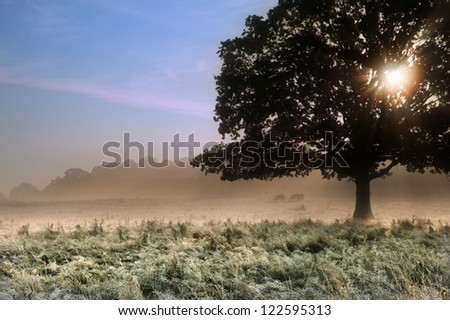 Foggy landscape is lit up at sunrise by sunbeams pouring through frosty landscape