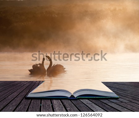 Creative concept image of romantic scene of mated pair of swans in pages of book