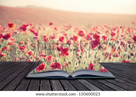 Creative concept pages of book Beautiful landscape image of Summer poppy field under stunning sunset sky with cross processed retro effect