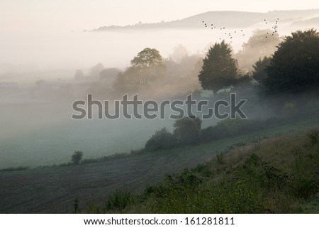 Foggy Autumn landscape over agricultural fields with layers of fog