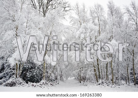 Transparent glass style text over Winter landscape of snow covered trees