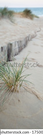 Vertical Panorama landscape of sand dunes system on beach at sunrise