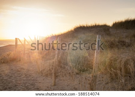 Beautiful sunlight landscape with added lens flare effect