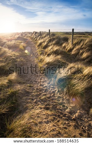 Beautiful blue sky beach Summer landscape with added lens flare filter effect