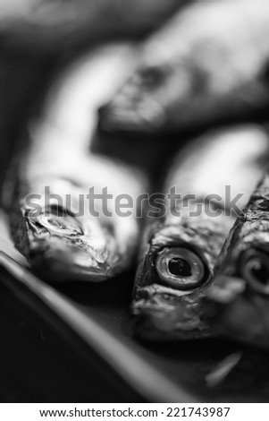 Fresh sprats fish on serving dish  black and white