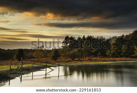 Beautiful Autumn sunset over lake landscape in forest