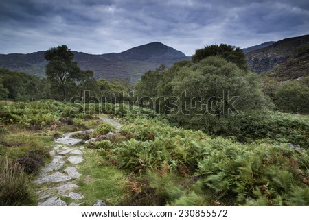 Landscape of path up mountain on Summer morning