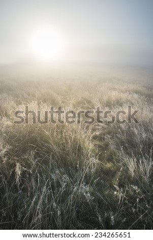 Stunning sun beams light up through thick fog of Autumn Fall frosty landscape