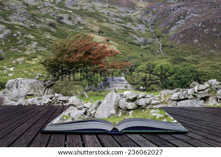 Old stone farmhouse with hawthorn bush in landscape conceptual book image