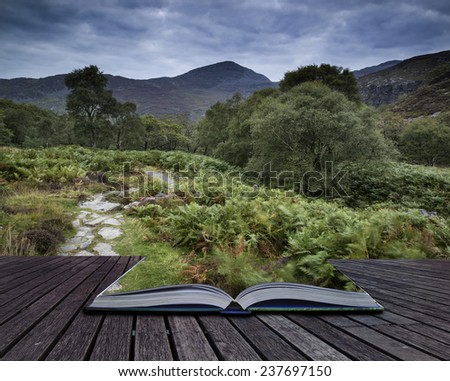 Landscape of path up mountain on Summer morning conceptual book image