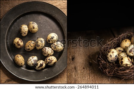 Compilation of moody natural lighting setting of quaills eggs with vintage style