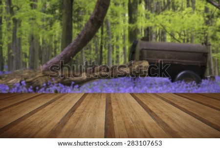 Old farm machinery in bluebell flowers in Spring forest landscape with wooden planks floor