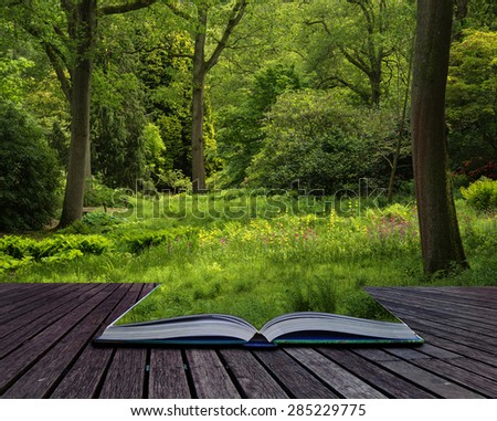 Landscape image of vibrant lush green forest woodland scene conceptual book image