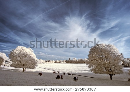 Stunning unique infra red landscape with false color impact
