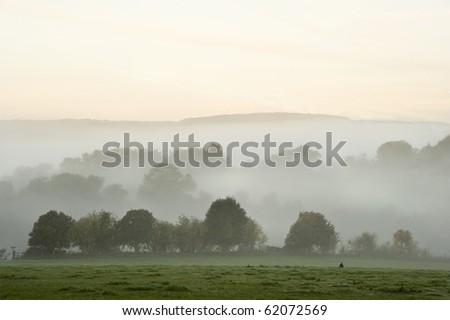 Beauttiful stirring forest and field scene with layers of mist and fog before sunrise