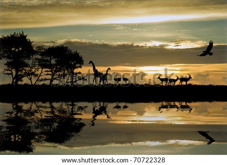Silhouette of animals in Africa theme setting with beautiful colorful sunset