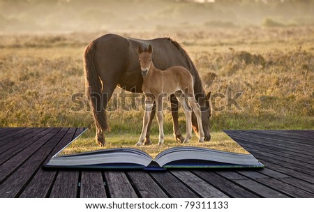 Creative concept idea of mare and foal of pony grazing in landscape coming out of pages in a book