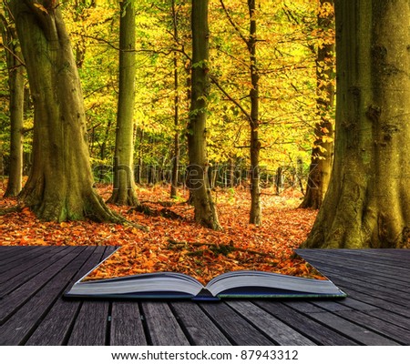 Autumn Fall forest landscape coming out of pages in magic book