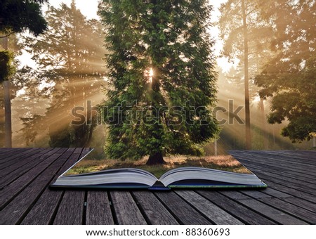 Autumn Fall forest coming out of pages in magic book
