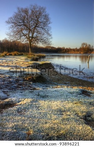 Frozen Winter lake landscape with frosty grass on banks of lake and stunning blue sunrise sky