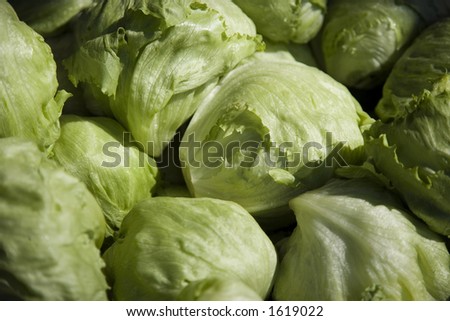 Iceberg lettuce for sale in a market stall