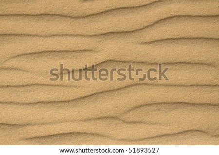 Soil/sand close-up