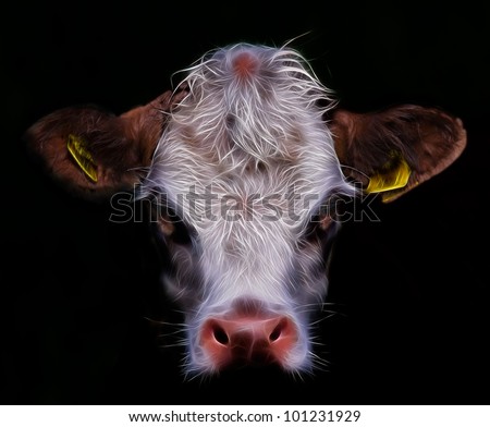 Daisy A Cow,cow face