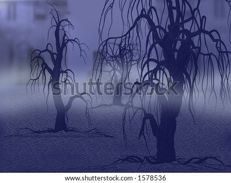 creepy trees in fog