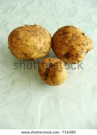 Humble Potato