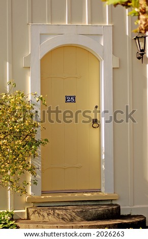 Unique front door