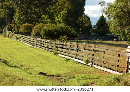 landscape with moss-covered farm fence