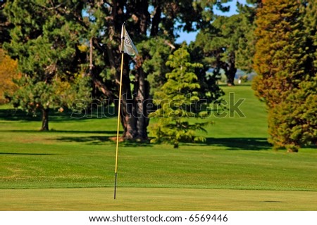 Flag at eighteenth hole of golf course