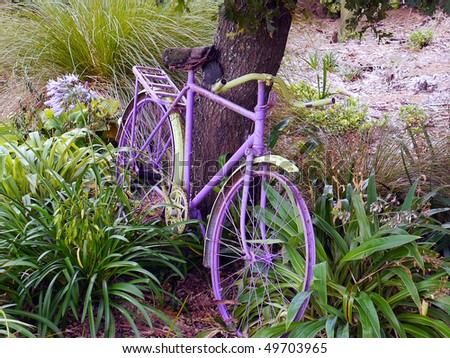 Old,skeletal rusty bicycle,resting against tree in garden
