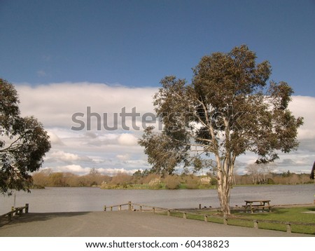 Lakeside scene with gum trees and boat launch ramp