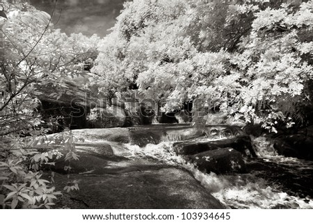 black and white waterfall asia penang