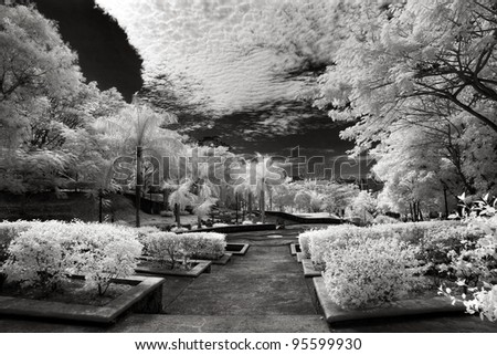 black and white infrared photo B&W